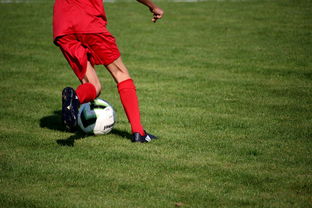 开云官方网页登录-NBA球队青训体系建设与人才储备，nba青年队